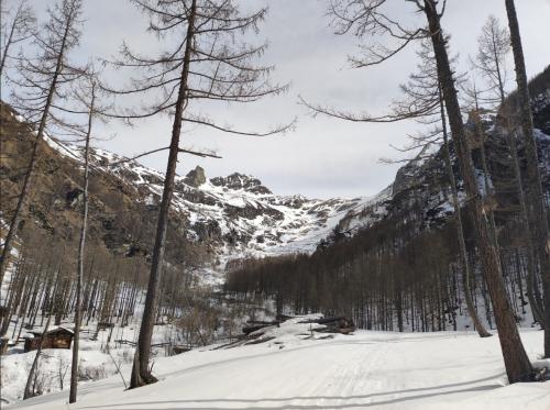 c_Škola planinarskog skijanja Pazinka